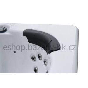 Viking Spa – Swim Spa Odin