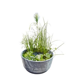 Heissner Aquatopia – solární mini jezírko, 46 × 21 cm, kamenný dekor 015211-09-SL
