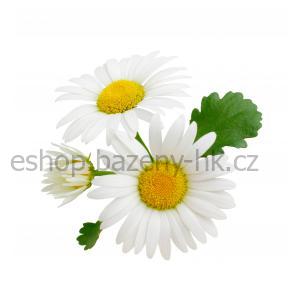 Saunová esence Heřmánek 250 ml