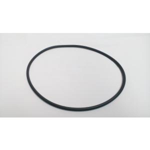 Těsnění těla čerpadla Bettar 190x5,5 mm