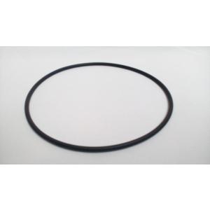 Těsnění těla čerpadla S-Swimm