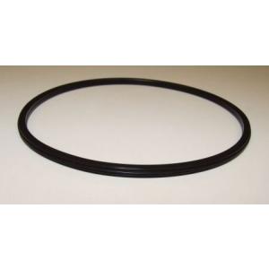 Těsnění pod víčko čerpadla SILEN OLD