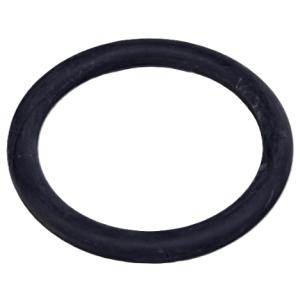 O-kroužek žárovky světla Hayward 300W