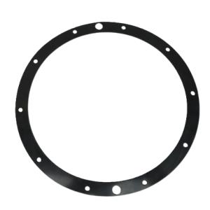 Těsnění světla Hayward 300W